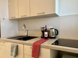 Studio moderne, 2 couchages, climatisé avec parking à Villeneuve Loubet Plage - FR-1-252A-19