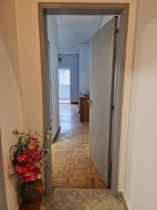 Habemus Domu Albufeira