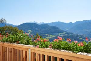 Rafaser - Apartment Albina