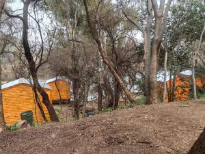 Naartjies Bush Camp