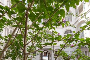 Vittoria Guest House Salerno