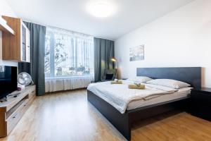 Elegant & Cozy Urban Studio - Easy Center Access