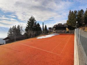 Apartment Regina D1 by Interhome