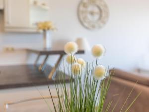 Romanza - 0405 + park.38