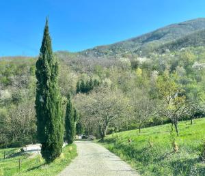 Bio Agriturismo Il Vigno - Pool Sauna Nature - Farm To Table Food - Wild Tuscan countryside - Adults Only - Your Place to Breathe