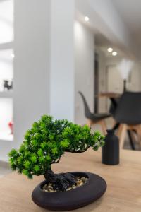 M20 Athens Apartments