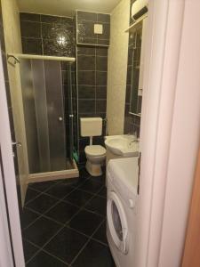 Sunny Side Up Apartment