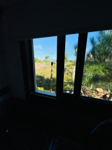 La casita del elefante