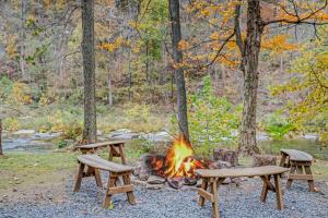 River Time Cabin - Riverfront, Hot Tub, Screen Porch, Fishing, Games, View, 3 King Beds