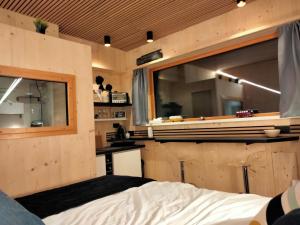 Scandic tiny
