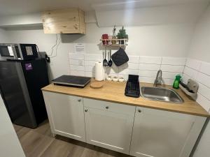 Cozy Basement Studio with Private Bathroom and Kitchen