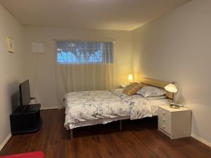 Lovely suite