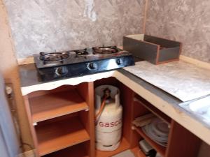 Sueños en el bosque