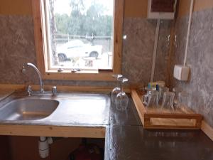 Sueños en el bosque