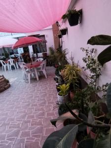 Acogedor, Comodo y Tranquilo 3