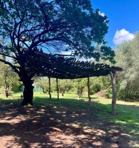 Hospedaje San Javier