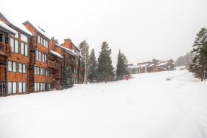 4 OClock D25: Ski-In Condo, Two Fireplaces, Slope Views, Walk to Town!