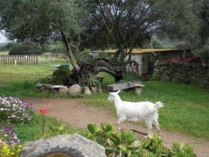 Apartment 'Stazzu Lu Malchesi' by Interhome img14