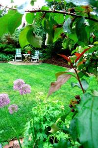 Apartment Apartment Royal by Interhome