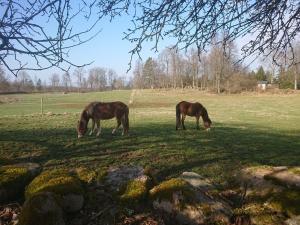 Holiday Home Gemütliches Cottage mit Whirlpool by Interhome