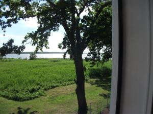 Holiday Home Seeblick by Interhome