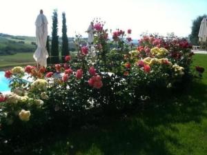 Apartment Casa Acqua by Interhome