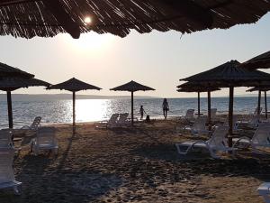 Apartment Wohnung Wohnung A2 direkt am Strand by Interhome