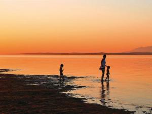 Apartment Appartement A3 direkt am Strand by Interhome