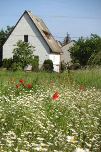 Holiday Home Ancsi by Interhome