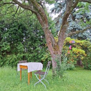 Casa Calali haustierfreundlich u barrierefrei