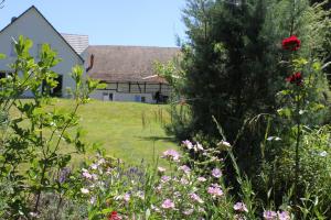 Maisons de vacances Le Clos Saint Morand : photos des chambres