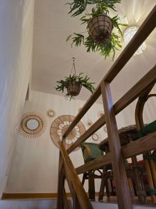 Domu Malaspina img14