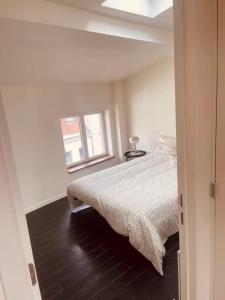 Spacious terrace apartment in the heart of Brussels