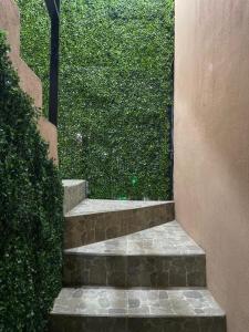 Departamentos Aurora