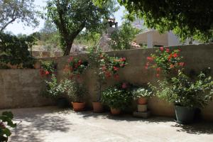 Apartment Sali 8152b