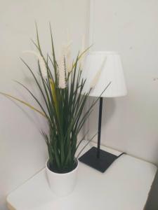 NEAR MOA ,SMX Condostaycation at SMDC