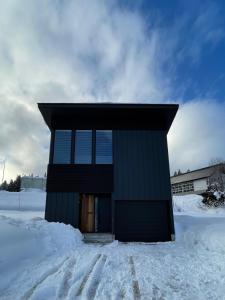 Myoko Cedric Villa 01