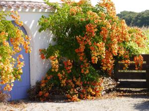 B&B / Chambres d'hotes Une Escale a Pornic chambres d'hotes 4 epis : photos des chambres