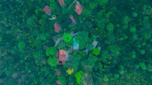 Willow Resorts Wayanad