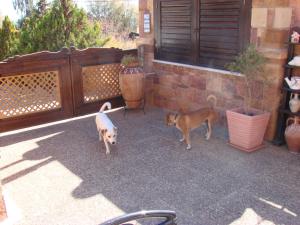 AnnaDes Apartments & Studio Chios Chios-Island Greece