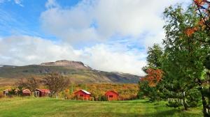 One-Bedroom Bungalow with Private Bathroom room in Stora Sandfell Rooms and Cottages