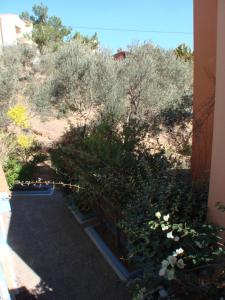 AnnaDes Apartments & Studio Chios Chios-Island Greece