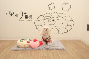 ゆるり箱根withDOGS