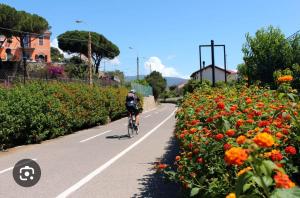 DREAM HOUSE Casa Vacanze