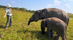 Satwa Elephant Eco Lodge