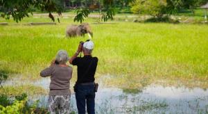Satwa Elephant Eco Lodge