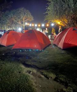 Sewa tenda guide madasari