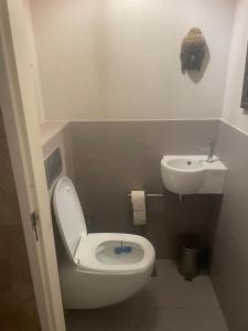 Spacious house IJmeer Amsterdam - east IJburg