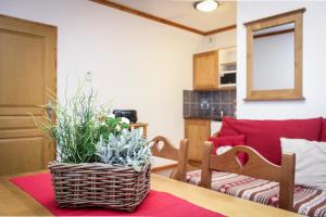 Appart'hotels Residence les Valmonts Vaujany : photos des chambres