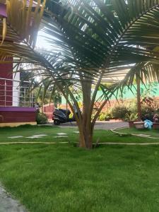 Nature embrace By Glitz Villa